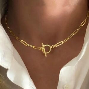 18 KT Gold Over Titanium Paperclip Necklace